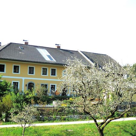 穆尔威耶特尔自然公寓 Sankt Johann am Wimberg 外观 照片